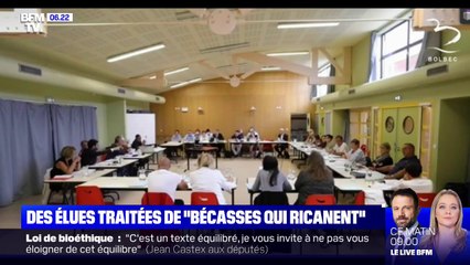 "Les bécasses qui ricanent": à Bolbec, un élu d'opposition s'en prend à des conseillères municipales