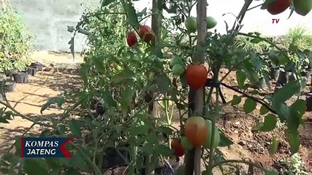 Kampung Siaga Covid-19 di Kota Semarang, Bantu Warga yang Terdampak Pandemi