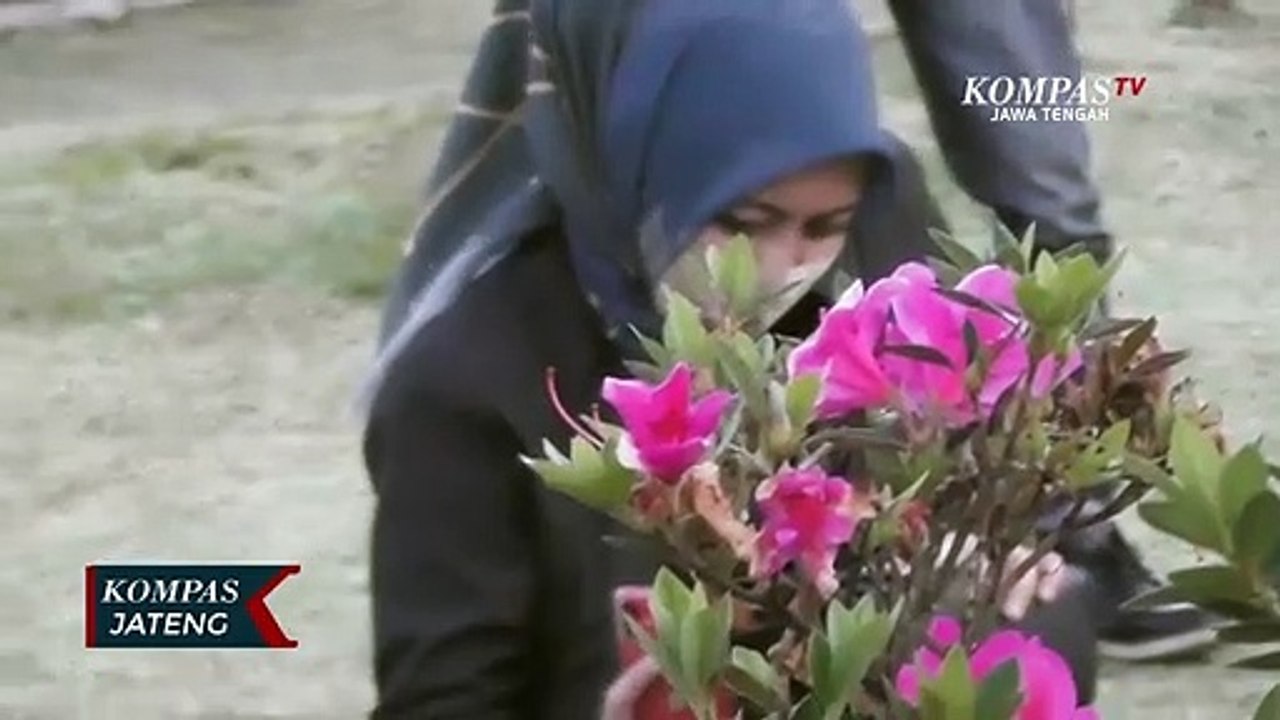 Fenomena Embun Es di Dataran Tinggi Dieng