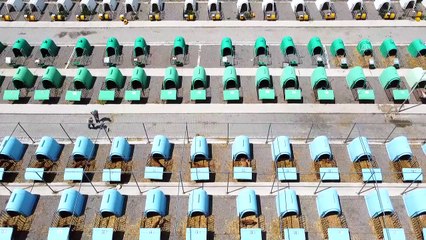 Amasya'daki Gökhöyük Tarım İşletmesinden jersey ırkı atağı