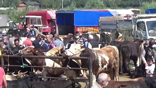 Hayvan pazarına gelen vatandaşlar sosyal mesafeye aldırış etmedi