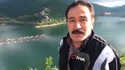 Görenleri kendine 'aşık' ediyor