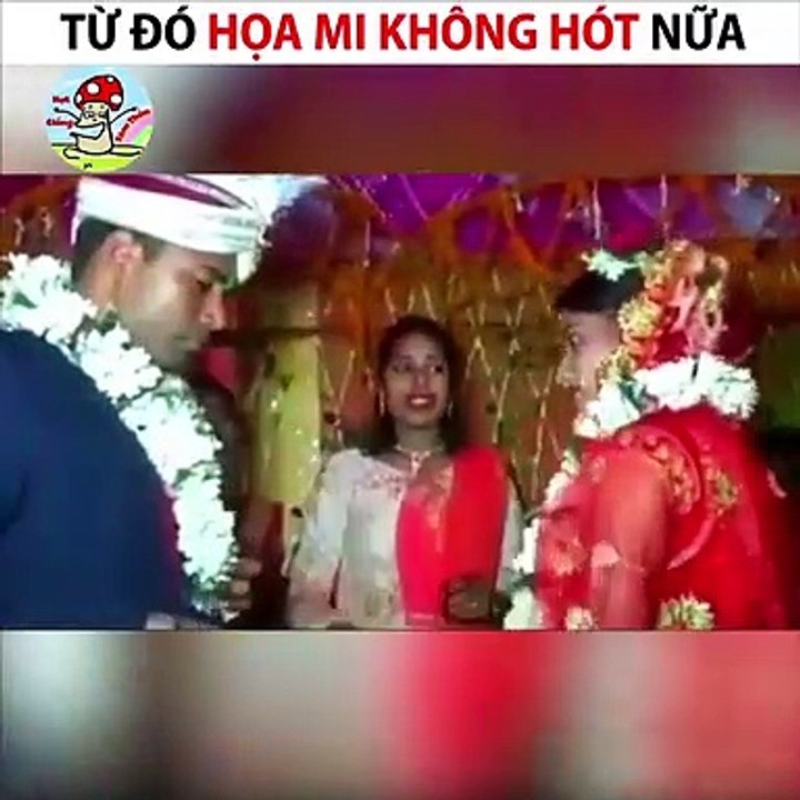 Từ đó họa mi không hót nữa