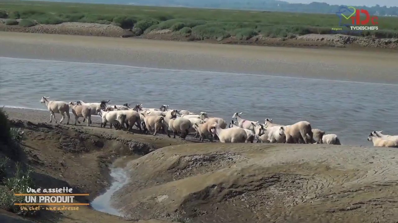L'agneau  Pré-Salé, une viande d'exception