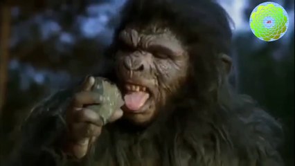 The end of dinosaurs and the origin of humans? डायनासोरो का अंत और इंसानों की उत्पत्ति ?