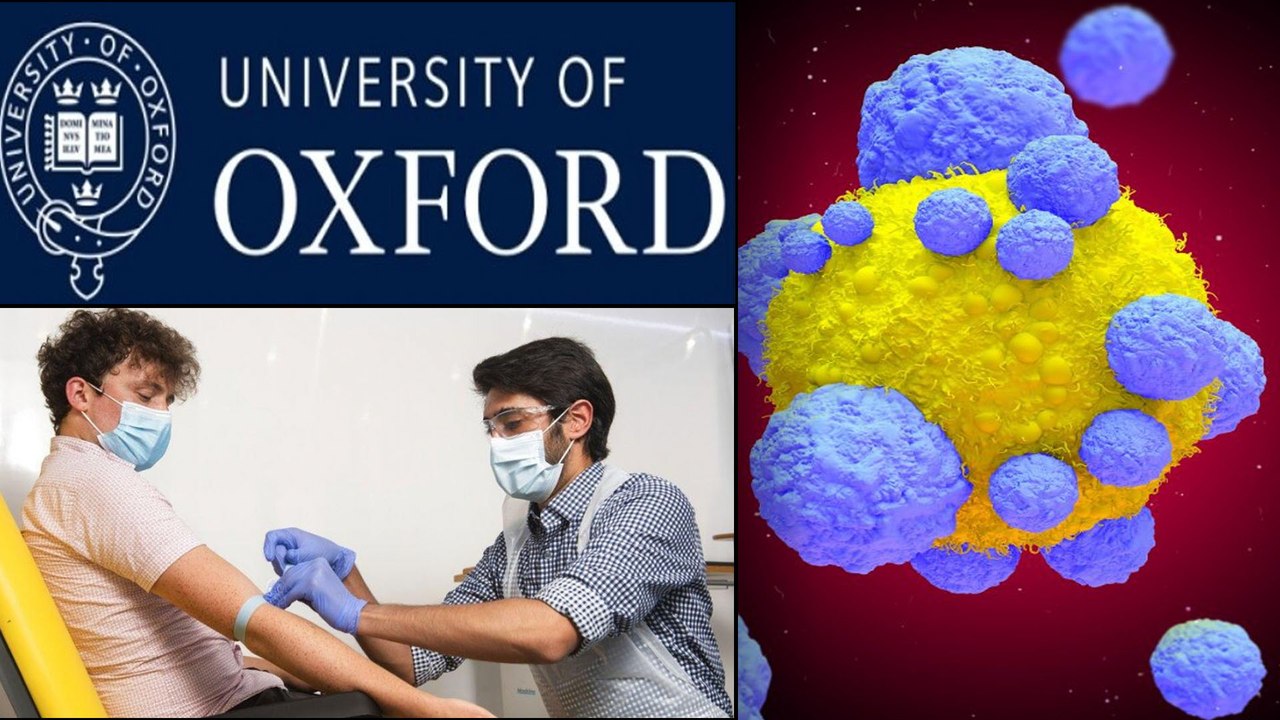 COVID-19 : గణనీయంగా పెరిగిన రోగ నిరోధక శక్తి.. ఆక్స్‌ఫర్డ్ కరోనా వ్యాక్సిన్ ఎలా పనిచేస్తుందంటే..!
