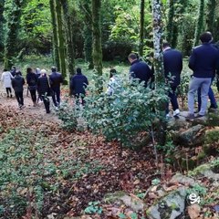 12 Recommended Camino de Santiago Tours 2021 Holy Year