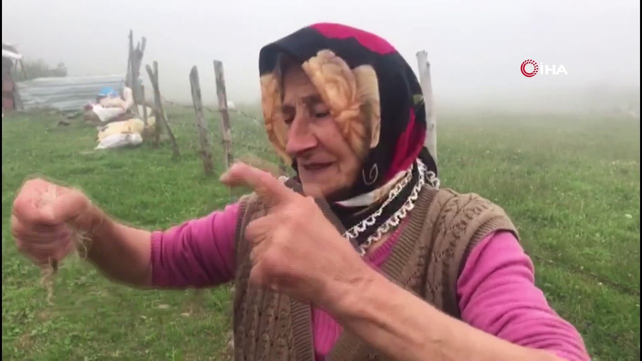 Giresun'un Bulancak ilçesi Semen Yaylası'nda kaybolan Elif dün akşamdan bu yana her yerde aranıyor