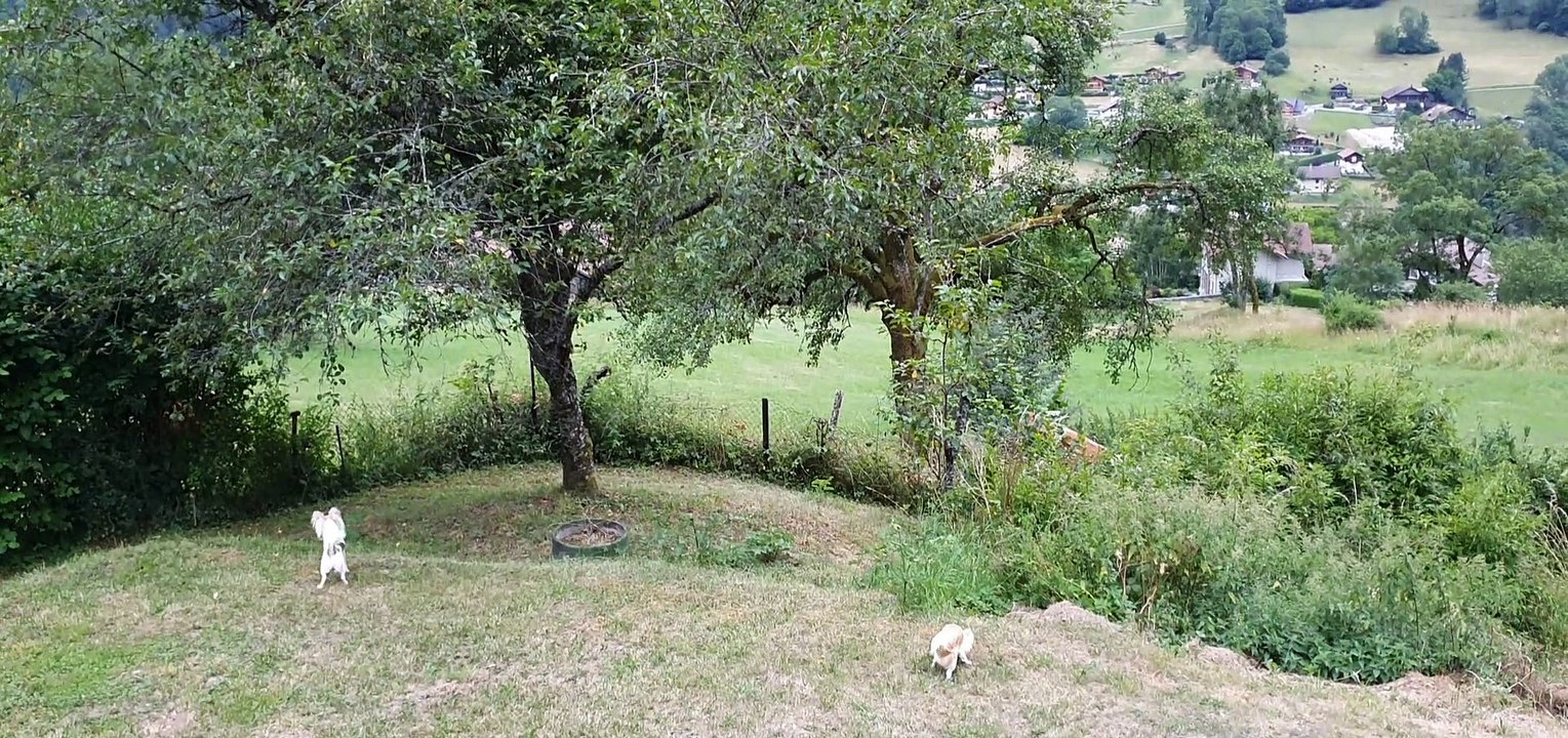 Les gardiens du chalet
