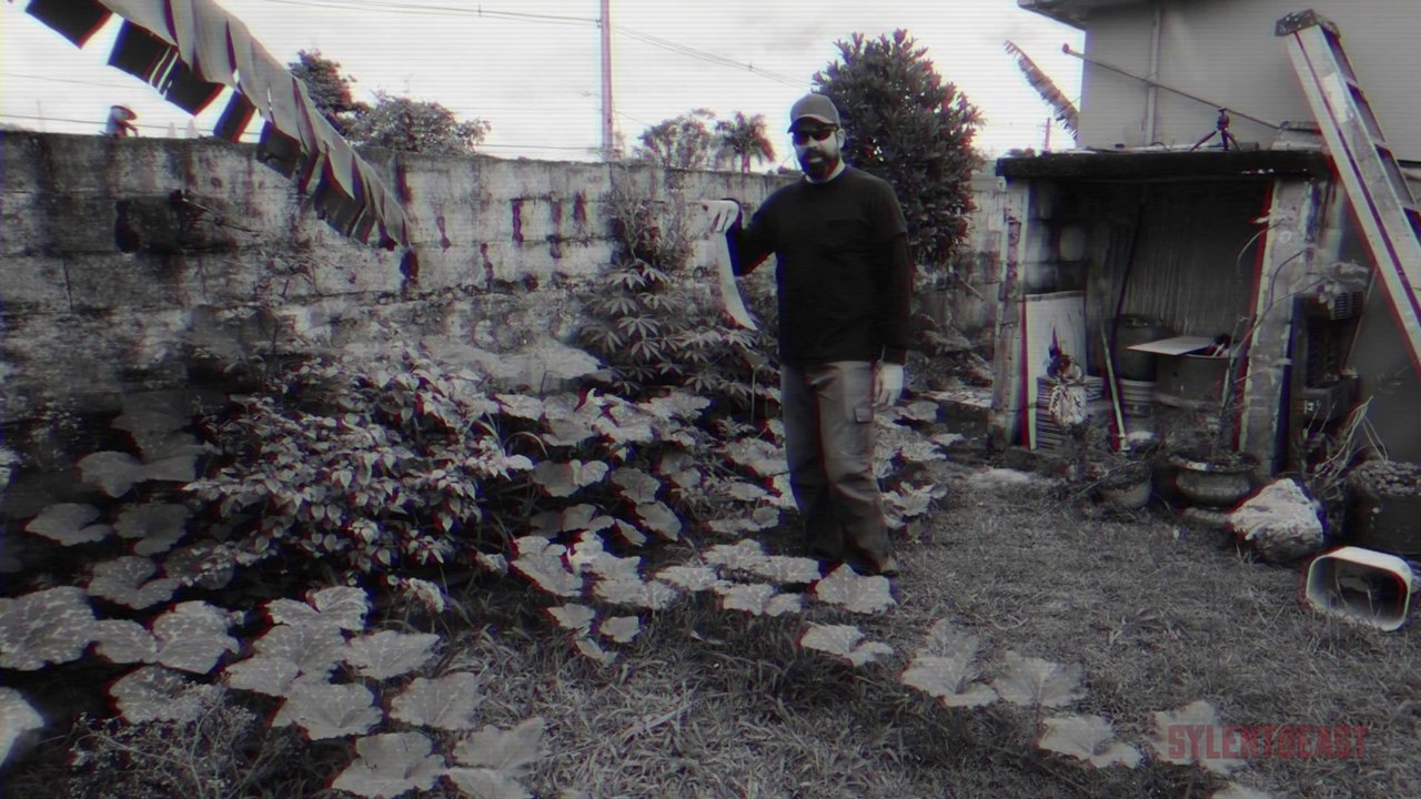 Creating A Food Forest At Home For Self Sustainability