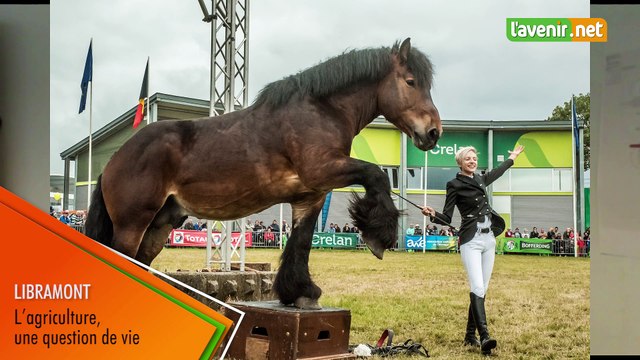 Foire de Libramont 2020