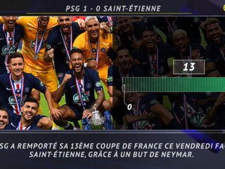 Coupe de France : Finale - 5 choses à retenir de la finale entre le PSG et Saint-Étienne