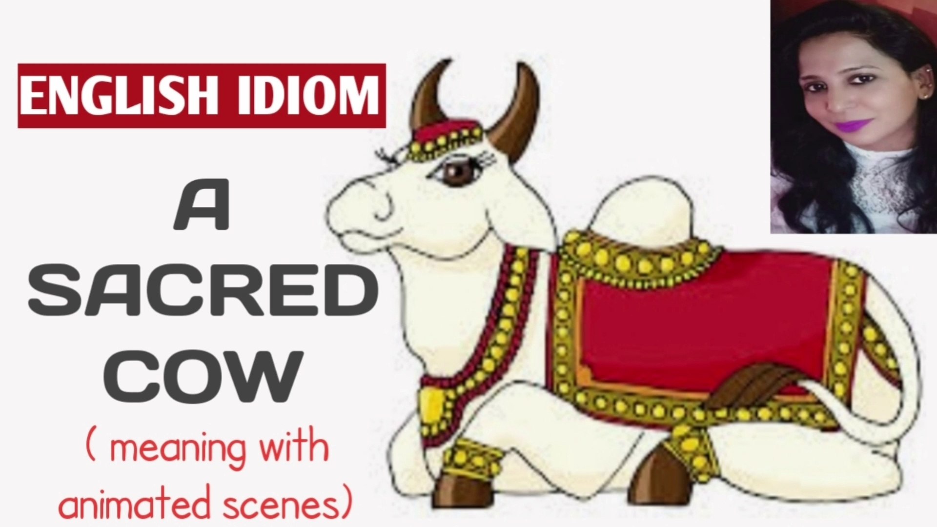 English idiom : A sacred cow | meaning with animated scenes - video  Dailymotion