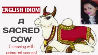 English idiom : A sacred cow | meaning with animated scenes
