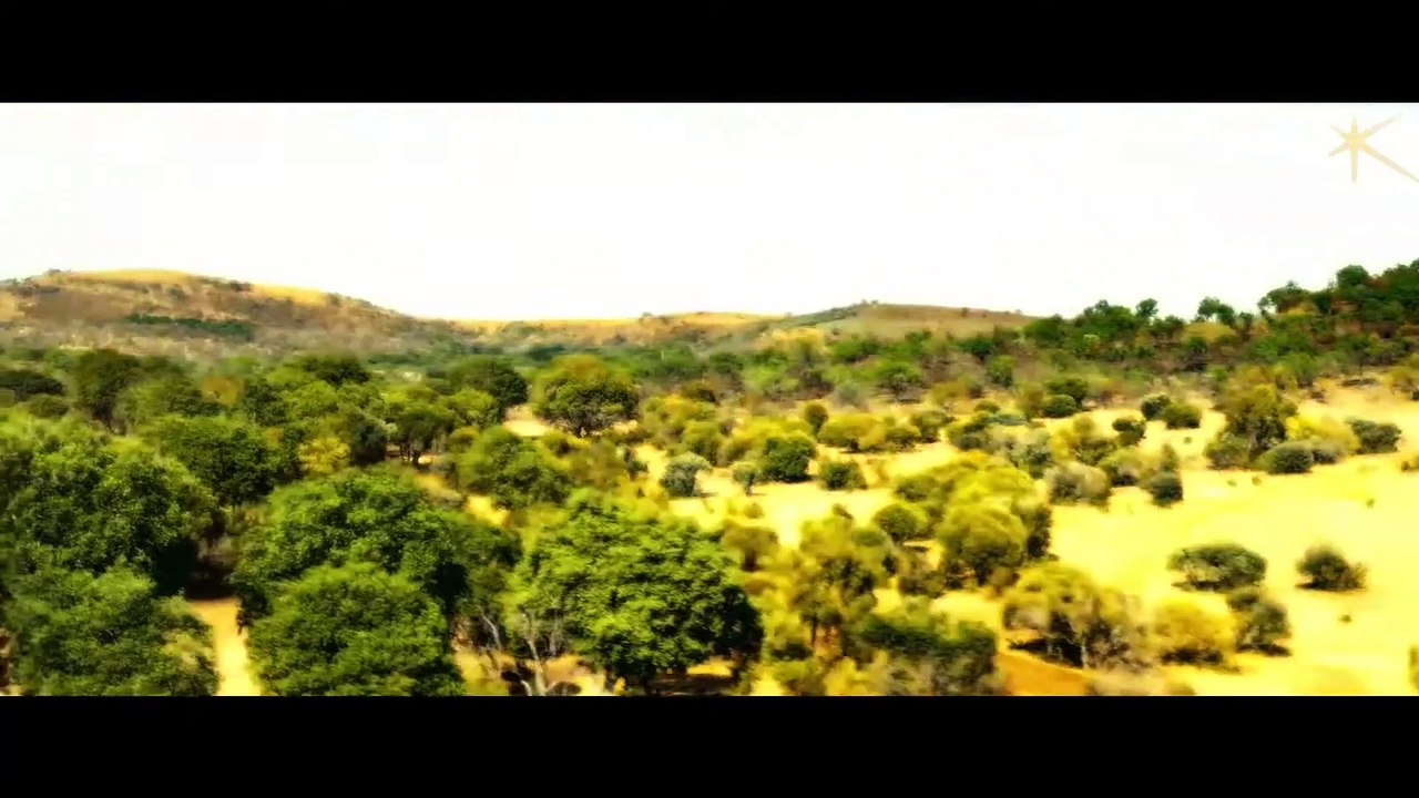 ROGUE Trailer (2020) Megan Fox