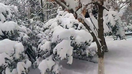 Trakya'da etkili yoğun kar yağışı nedeniyle tirakyada hayati olumsuz yönde etkileyerek