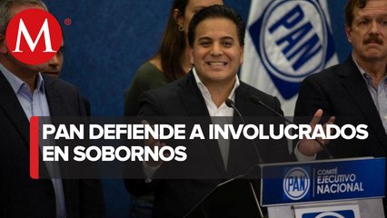 Senadores del PAN piden que se demuestren sobornos por reforma energética