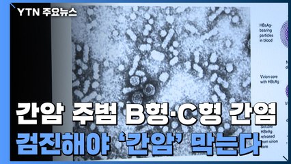 간암 주범 B형·C형 간염...평생 1번 검진해야 '간암' 막는다 / YTN
