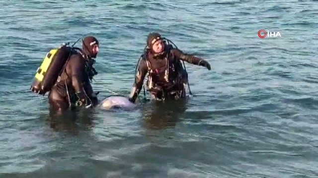 BURSA) İznik Gölü'nde kaybolan 16 yaşındaki yeğenin de cesedi bulundu