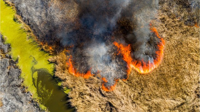Why The Arctic Is Exploding Into Flames