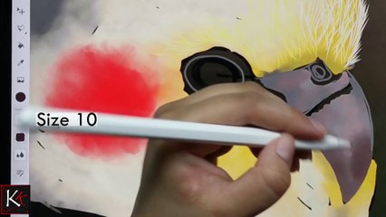 Tutorial  Draw a parrot on Ipad in Adobe fresco