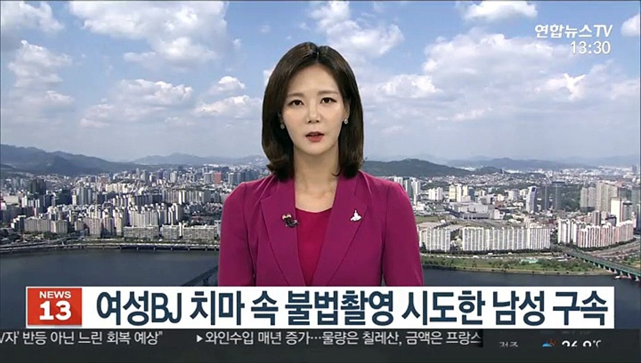 여성BJ 치마 속 불법촬영 시도한 남성 구속