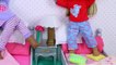 Baby Dolls Pillow Fight in Dollhouse Bedroom by Play Toys!