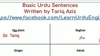 Day 09 Urdu Vocabulary And Urdu Sentences