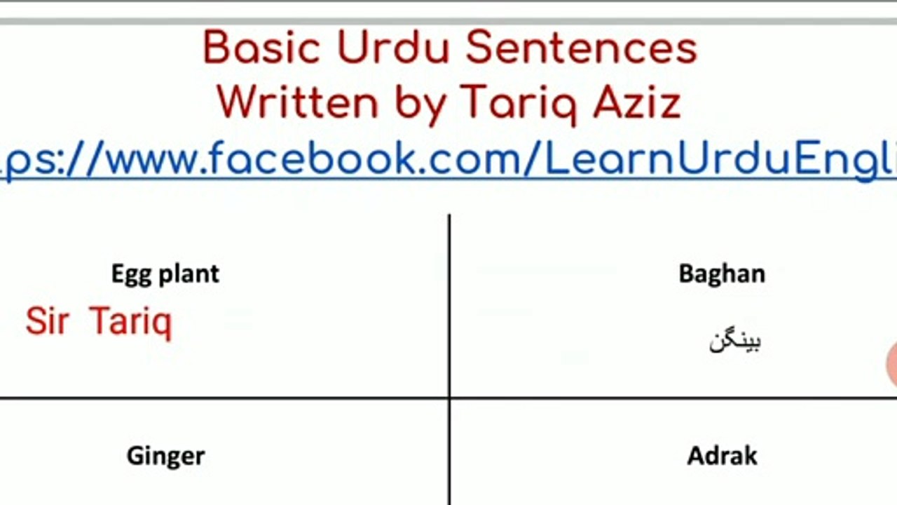 Day 09 Urdu Vocabulary And Urdu Sentences