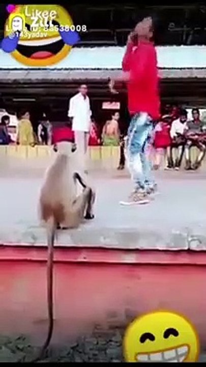 Funny videos SWORLD