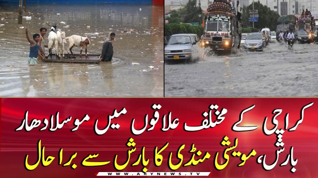 Heavy rain in Karachi floods Cattle Market and other areas