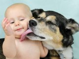 Quelques bonnes raisons de laisser votre chien vous faire des léchouilles