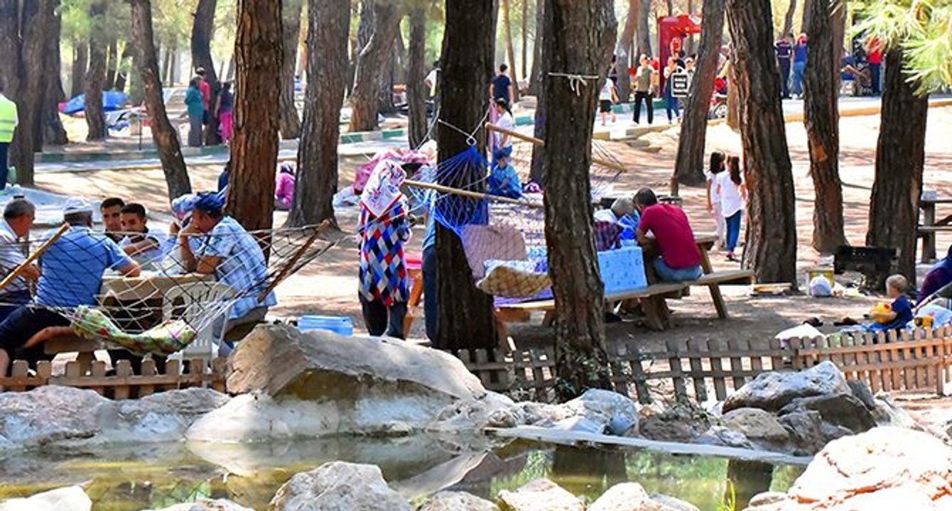 Mesire alanlarındaki kene tehdidine dikkat