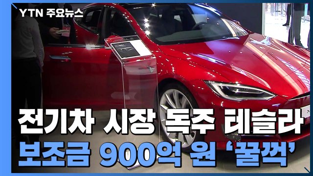 전기차 시장 휩쓴 테슬라 열풍...상반기 판매량 15배↑ / YTN