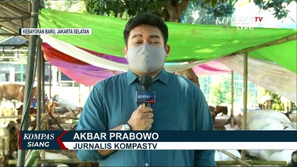 Sepi Pembeli, Pedagang Kini Jual Hewan Kurban Secara Online