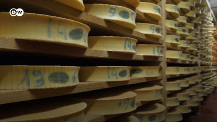 Fransızlara çağrı: Vatanını seven peynir yesin!