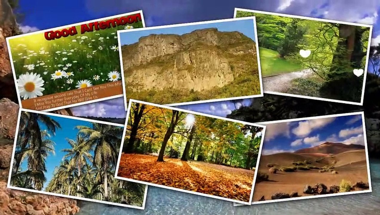 Good Afternoon Greeting Video | Download Good Afternoon Video greeting