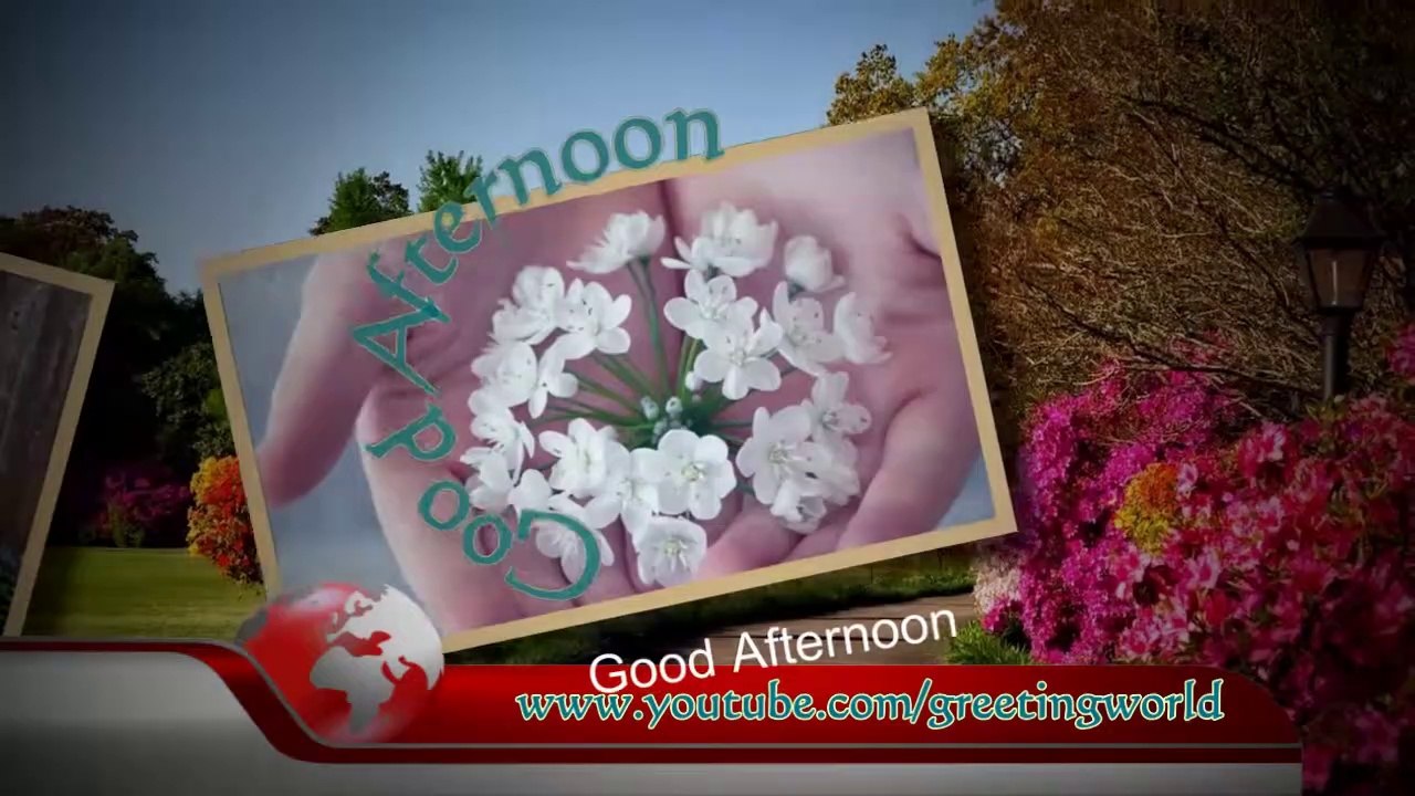 Very Good Afternoon | Good Afternoon Video Greeting, Best Wishes