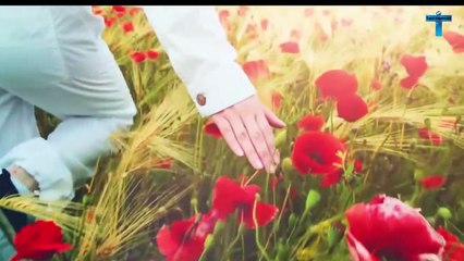 Top 10 Most Unusual And Wonderful Natural Phenomena In The World