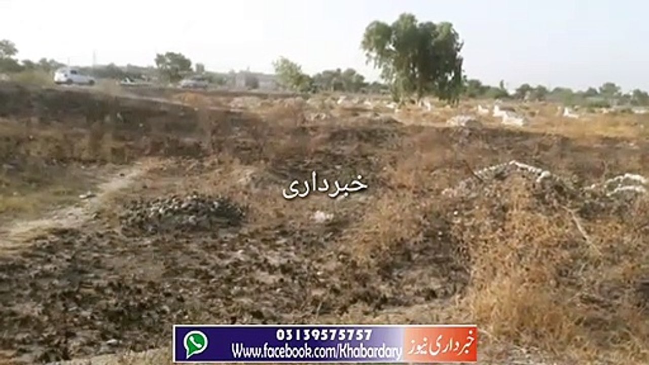 Charsadda Qabrestan ma Aaye Roz Aag Lagane se Qemti Darkht aur Hasharat Jal Gaye.