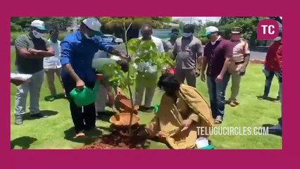 Power Star Pawan Kalyan paticipated in Green India Challenge initiated by TRS MP Santosh