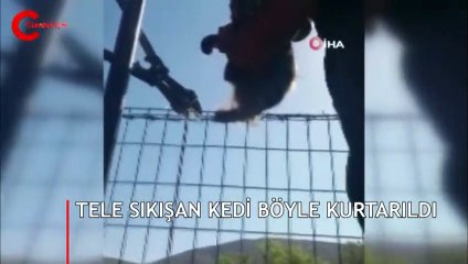 Asılı halde gören yurttaşlar hemen ekiplere haber verdi