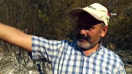 Burdur’da orman yangını