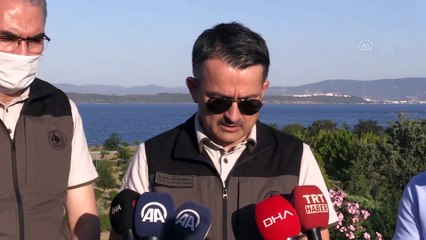 Bakan Pakdemirli: 'Tüm yangınların hepsi kontrol altında' - ÇANAKKALE