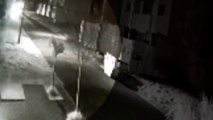 Câmera mostra motorista fugindo, após atingir carros estacionados no Canadá