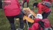 Daisy the St Bernard dog turns the tables as she's rescued from a mountain