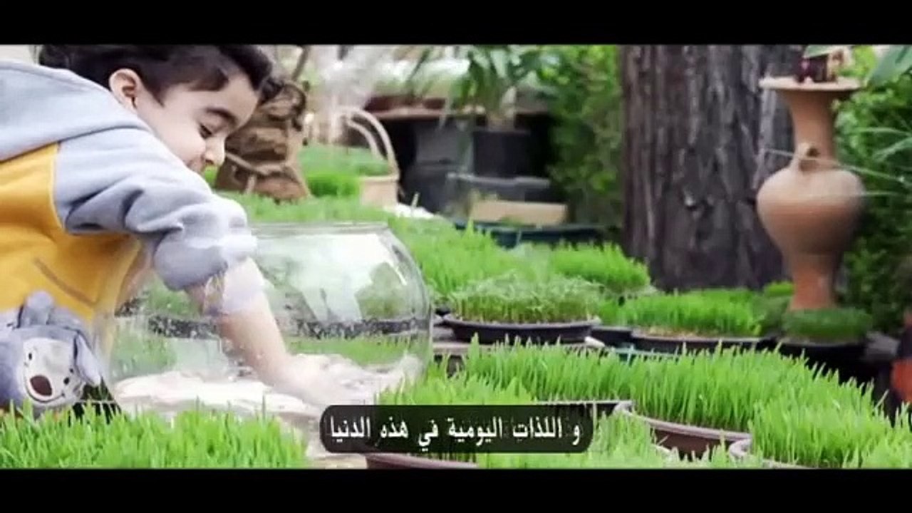 به طه به یس بمعراج أحمد - علی فانی ( مترجم عربي )