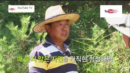 ท่องโลก ชุด Wonderful World ตอน เกาะลึกลับ เกาหลี