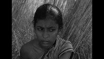 Pather Panchali - With the Director || Apu Trilogy
