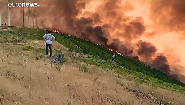 Сптуники помогут Португалии бороться с лесным пожаром
